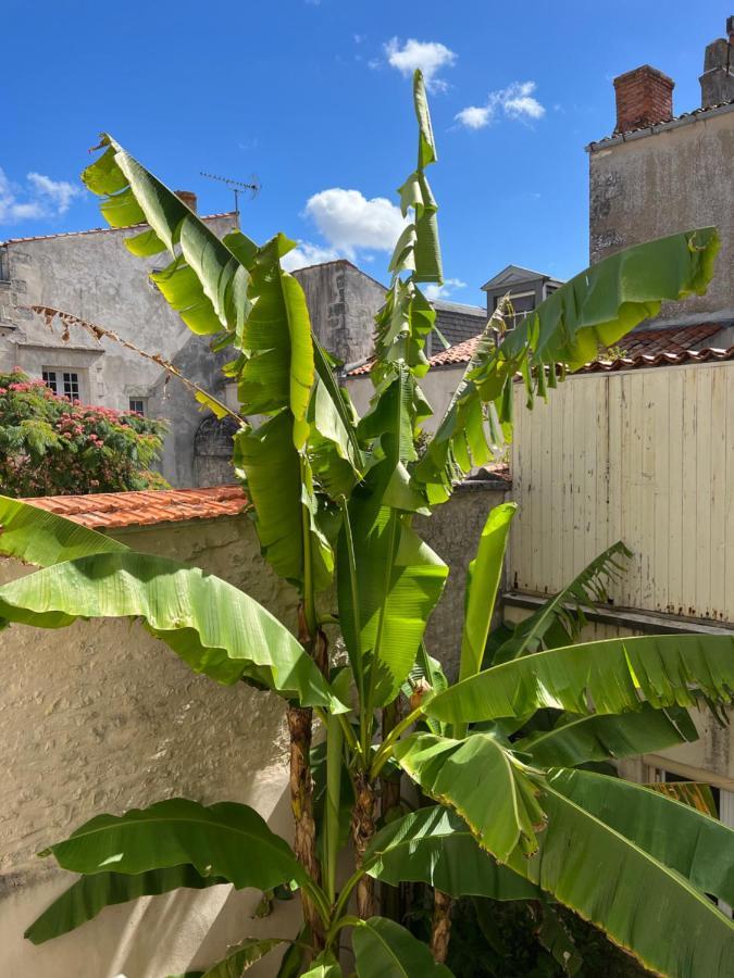 L'Escale Leilighet La Rochelle  Eksteriør bilde